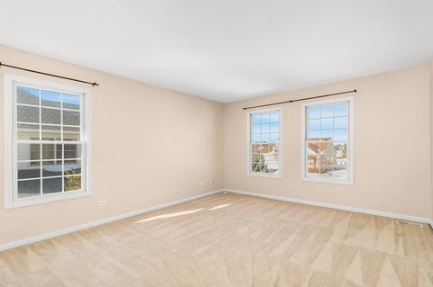 13518 Rockefeller Cir, Plainfield, IL 60544 photo 23