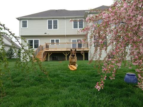 13518 Rockefeller Cir, Plainfield, IL 60544 photo 30