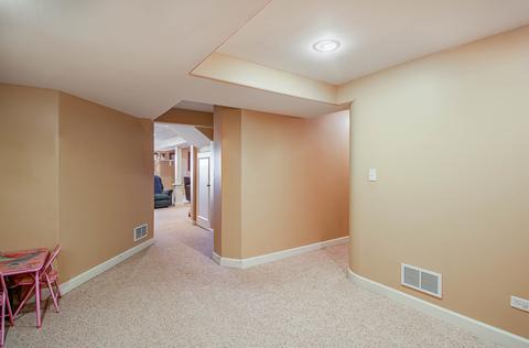 266 Sunset Blvd, Beecher, IL 60401 photo 26