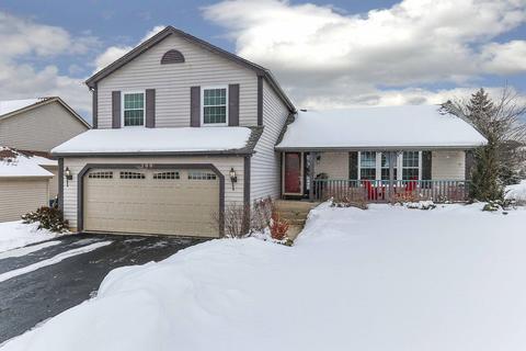 599 Flora Dr, Algonquin, IL 60102 photo 1