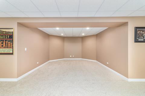 15729 Brookshore Dr, Plainfield, IL 60544 photo 24