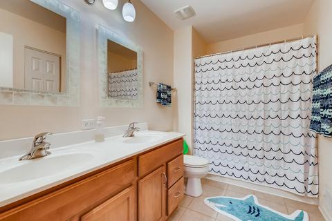 13642 Marigold Rd, Plainfield, IL 60544 photo 21