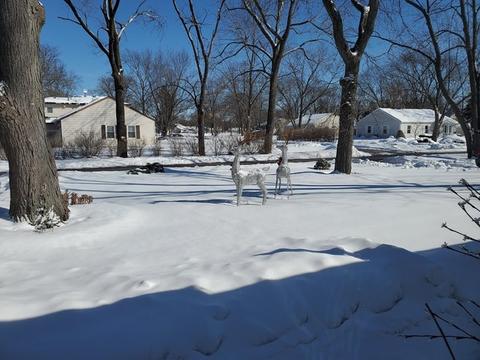 400 Cherry Ln, Glenview, IL 60025 photo 24