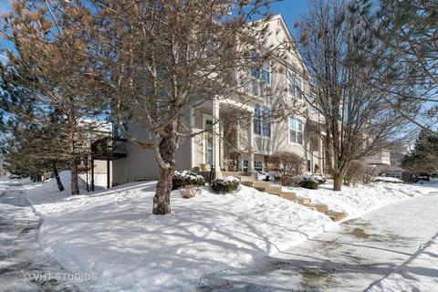 31596 W Tall Grass Ct, Lakemoor, IL 60051 photo 1