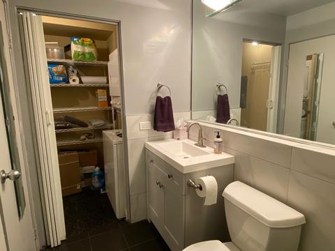 40 E 9th St #1709, Chicago, IL 60605 photo 16