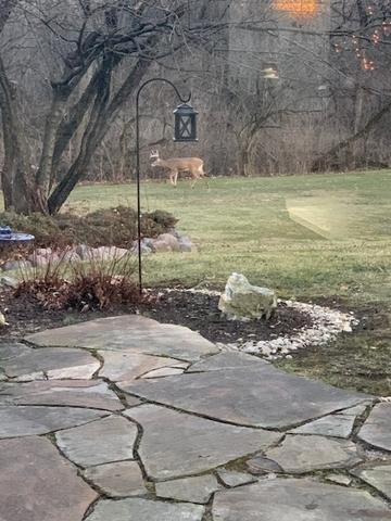 91 Brinker Rd, Barrington Hills, IL 60010 photo 29