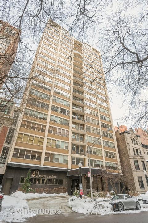 40 E Cedar St #16B, Chicago, IL 60611 photo 1