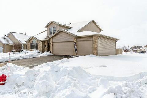 1580 Mallards Cv, Beecher, IL 60401 photo 20