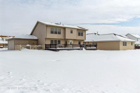 1580 Mallards Cv, Beecher, IL 60401 photo 21