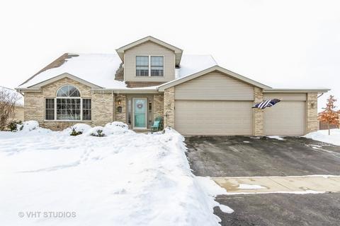 1580 Mallards Cv, Beecher, IL 60401 photo 1