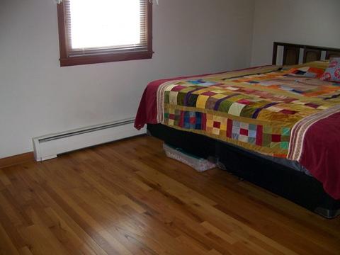 1009 Warren St, Chenoa, IL 61726 photo 13