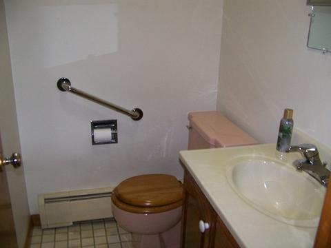 1009 Warren St, Chenoa, IL 61726 photo 15