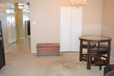 175 E Delaware Pl #5501, Chicago, IL 60611 photo 15