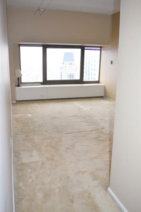 175 E Delaware Pl #5501, Chicago, IL 60611 photo 19