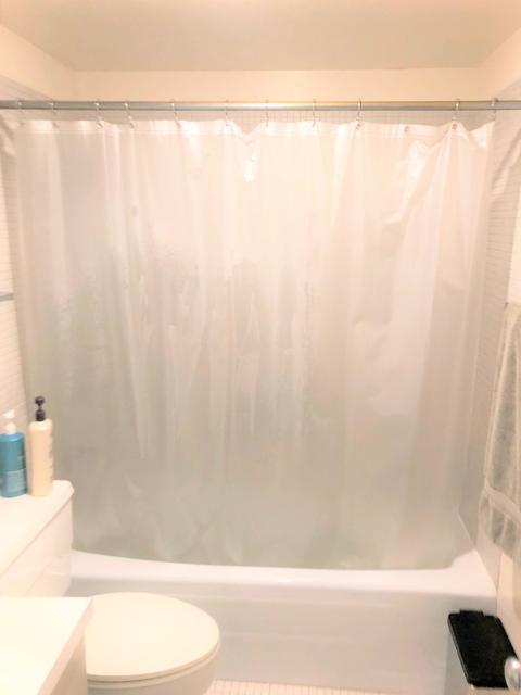 175 E Delaware Pl #5501, Chicago, IL 60611 photo 23