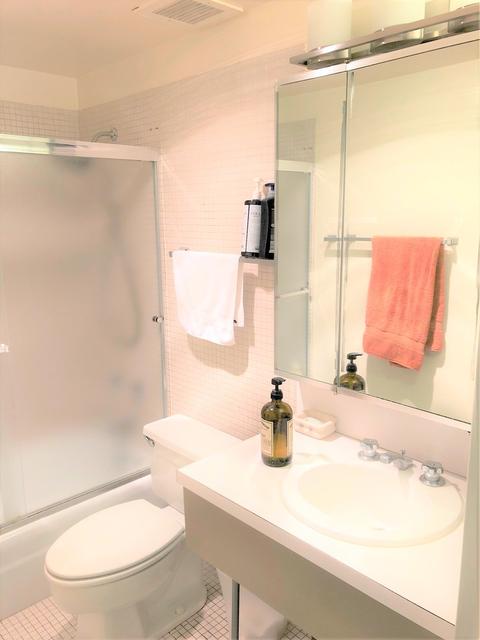175 E Delaware Pl #5501, Chicago, IL 60611 photo 27