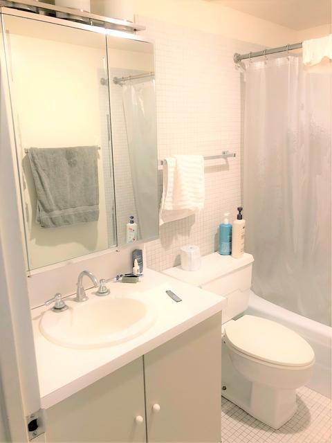 175 E Delaware Pl #5501, Chicago, IL 60611 photo 22