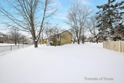 264 Hood Ct, Bartlett, IL 60103 photo 20