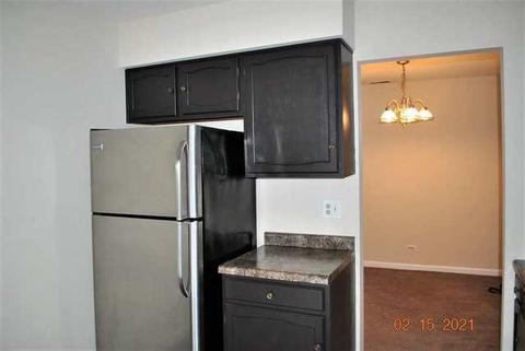 342 Springlake Ln #D, Aurora, IL 60504 photo 9