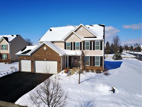 24504 Rockefeller Ct, Plainfield, IL 60544 photo 31