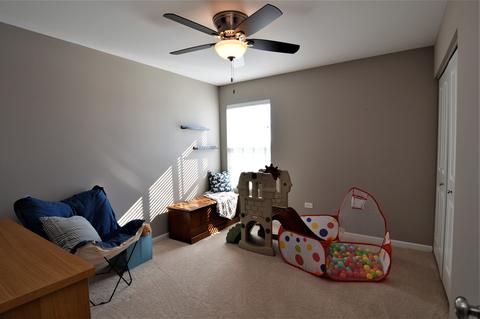 24504 Rockefeller Ct, Plainfield, IL 60544 photo 24