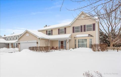 53 Mohawk St, Cary, IL 60013 photo 1