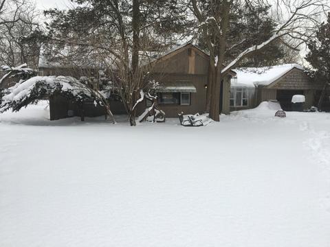 8921 Elm Ave, Burr Ridge, IL 60527 photo 2