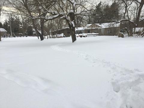 8921 Elm Ave, Burr Ridge, IL 60527 photo 5