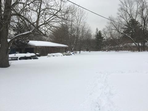 8921 Elm Ave, Burr Ridge, IL 60527 photo 7