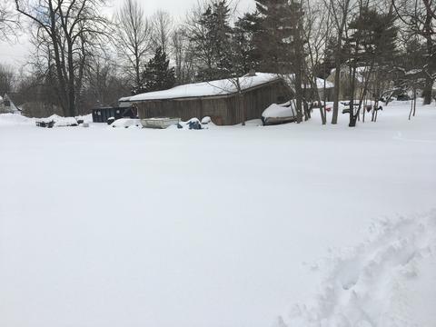 8921 Elm Ave, Burr Ridge, IL 60527 photo 6