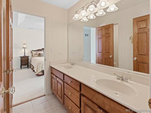 22810 Eider Ct, Plainfield, IL 60585 photo 34
