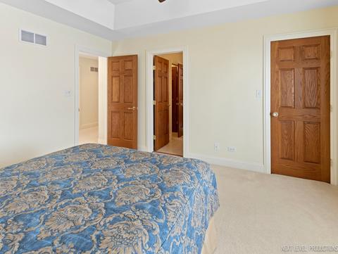 22810 Eider Ct, Plainfield, IL 60585 photo 37