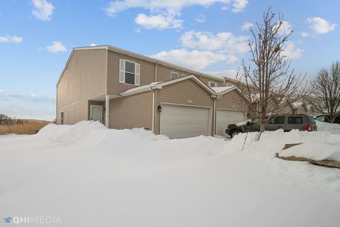 25944 Derby Dr, Monee, IL 60449 photo 18