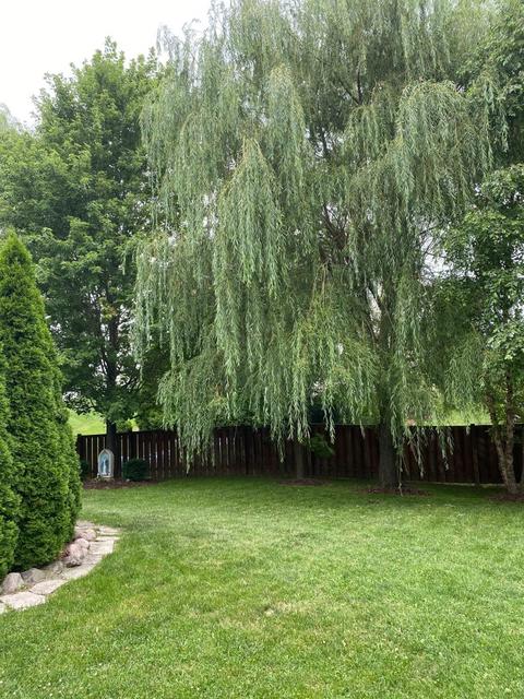 300 Sonora Dr, Elgin, IL 60123 photo 20