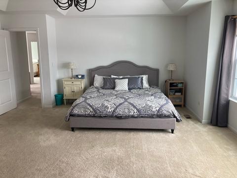 1713 Red Maple Dr, Plainfield, IL 60586 photo 13