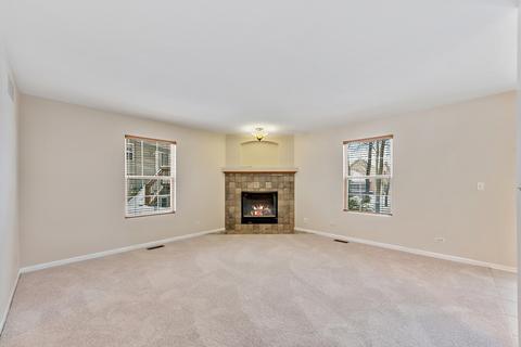 730 Cooper Ct E, Aurora, IL 60504 photo 13