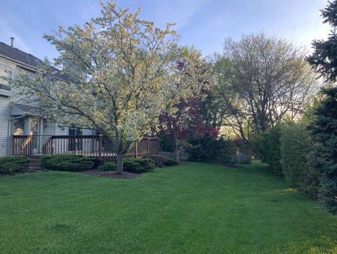 2410 Harbor Ct, Aurora, IL 60504 photo 37