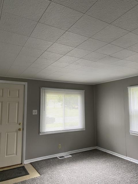 737 S Gordon Ave, Kankakee, IL 60901 photo 3
