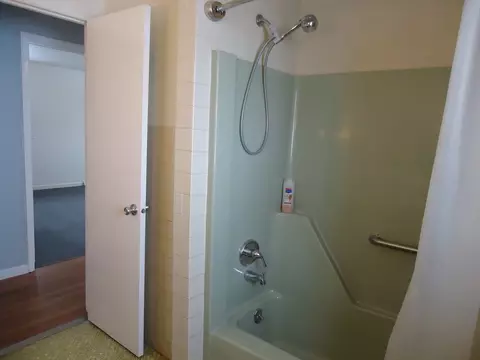 112 Dalzell St, Spring Valley, IL 61362 photo 16