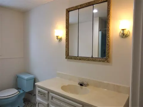 112 Dalzell St, Spring Valley, IL 61362 photo 21
