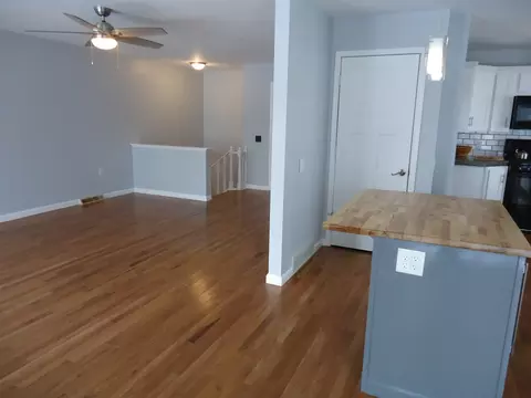 112 Dalzell St, Spring Valley, IL 61362 photo 11