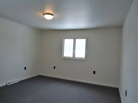 112 Dalzell St, Spring Valley, IL 61362 photo 13