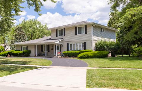 953 Willson Dr, Des Plaines, IL 60016 photo 3