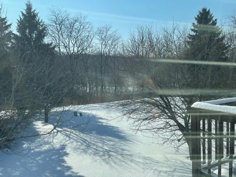 532 King Ave, East Dundee, IL 60118 photo 17