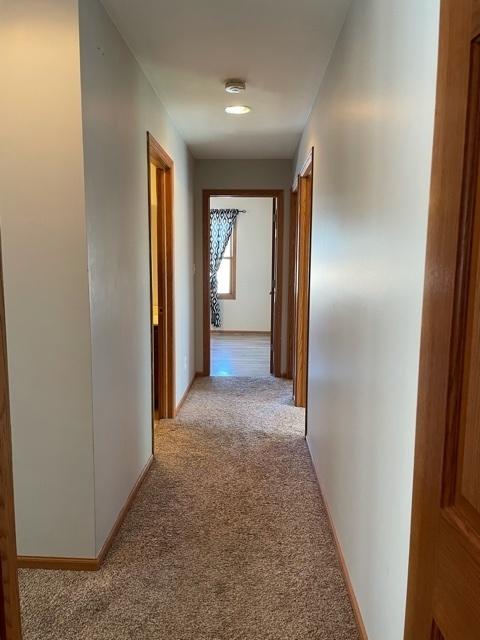 2091 Locust Rd, Morris, IL 60450 photo 13