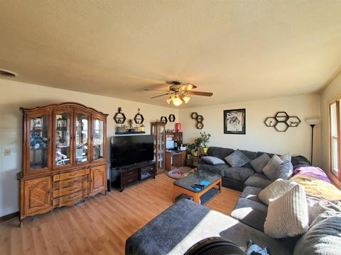 181 3rd St, Buckingham, IL 60917 photo 3