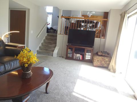 315 Barton Ct, Bartlett, IL 60103 photo 10
