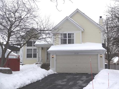 315 Barton Ct, Bartlett, IL 60103 photo 19