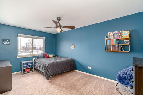 25255 Plainview Dr, Channahon, IL 60410 photo 15