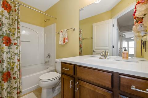 243 Devoe Dr, Oswego, IL 60543 photo 20
